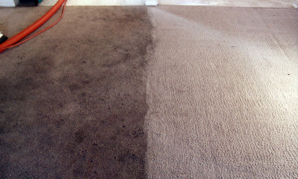 Professional Specialist Carpet Cleaning In Corby Northamptonshire 01536540060